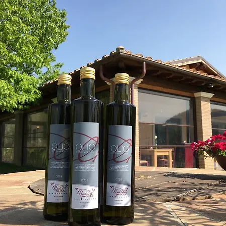 Gospodarstwo agroturystyczne Mulin Di Mezzo *